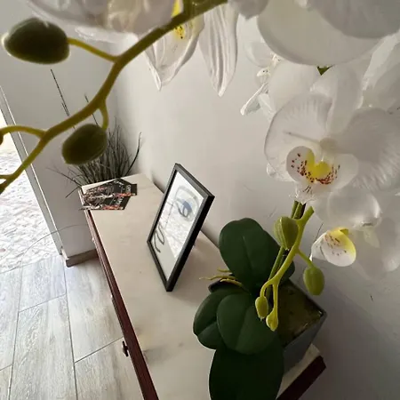 Casa Duran 酒店